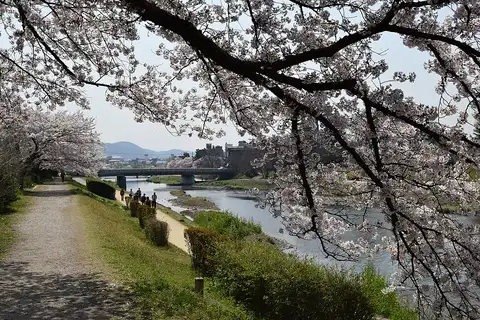 最窄的窗口